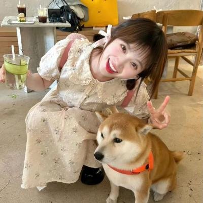 夏日之书2024